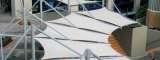  Shade Protection Limited - 