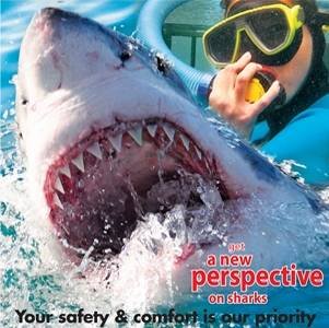  Profile Photos of White Shark Adventures 12 Geelbek - Photo 3 of 9