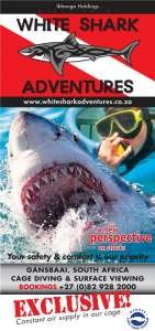 White Shark Adventures, van dyks bay