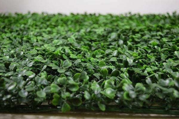  Profile Photos of Hedged In Ltd Unit 18, Enterprise Centre Two - Photo 34 of 46