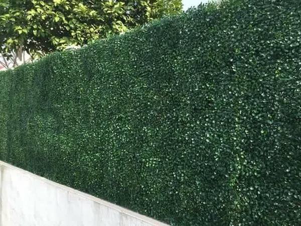  Profile Photos of Hedged In Ltd Unit 18, Enterprise Centre Two - Photo 37 of 46