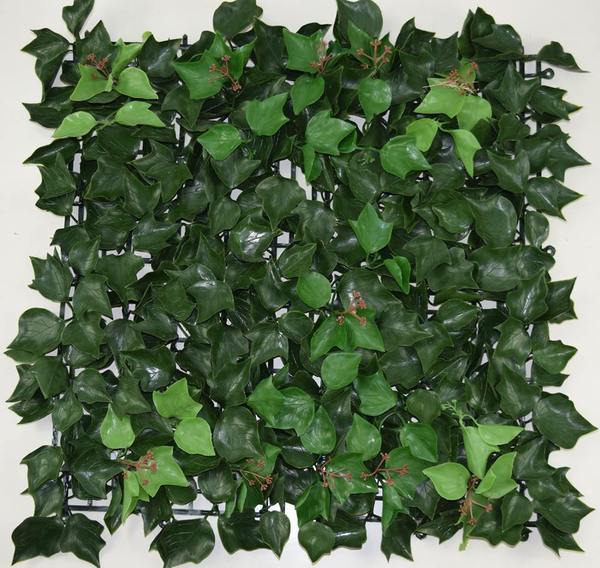  Profile Photos of Hedged In Ltd Unit 18, Enterprise Centre Two - Photo 41 of 46