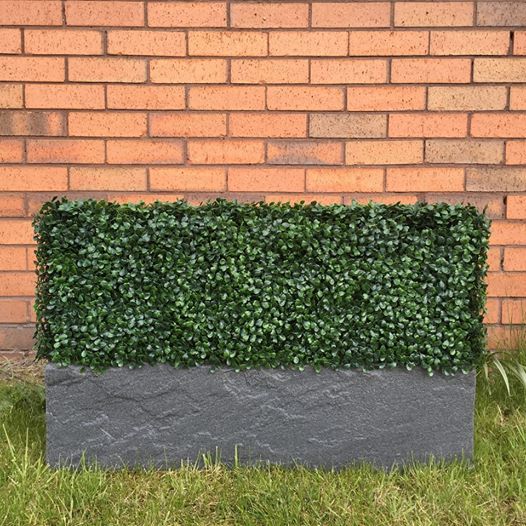 Profile Photos of Hedged In Ltd Unit 18, Enterprise Centre Two - Photo 2 of 46