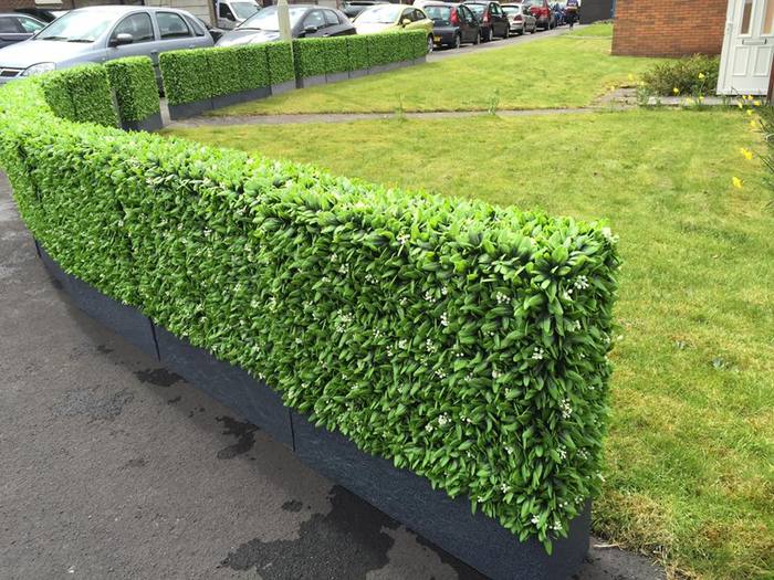  Profile Photos of Hedged In Ltd Unit 18, Enterprise Centre Two - Photo 20 of 46