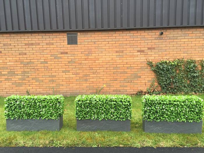  Profile Photos of Hedged In Ltd Unit 18, Enterprise Centre Two - Photo 13 of 46