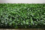  Hedged In Ltd Unit 18, Enterprise Centre Two 