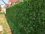  Hedged In Ltd Unit 18, Enterprise Centre Two 