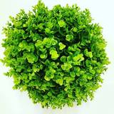  Hedged In Ltd Unit 18, Enterprise Centre Two 