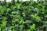  Hedged In Ltd Unit 18, Enterprise Centre Two 