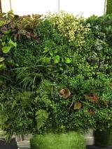  Hedged In Ltd Unit 18, Enterprise Centre Two 