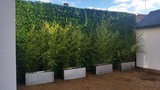  Hedged In Ltd Unit 18, Enterprise Centre Two 