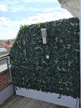 Hedged In Ltd Unit 18, Enterprise Centre Two 