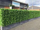  Hedged In Ltd Unit 18, Enterprise Centre Two 