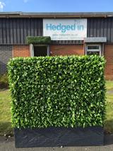  Hedged In Ltd Unit 18, Enterprise Centre Two 