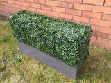 Hedged In Ltd, Stockport
