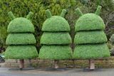 Hedged In Ltd, Stockport