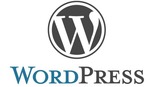Wordpress Website Development in Chennai - DNeers, Chennai