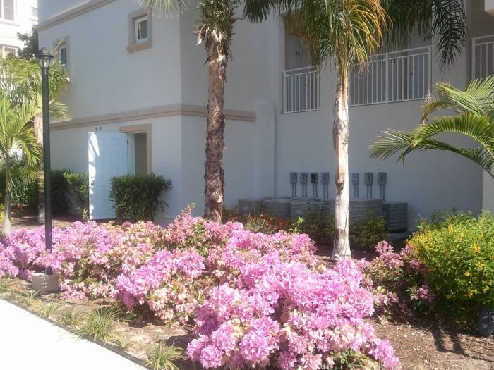 REAR ENTRANCE AT ELEVATOR LOCATION Profile Photos of vacations 7 resorts international 107 turtle cove drive - Photo 1 of 18