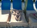 ON GRACE BAY TURKS AND CAICOS YOU HAVE YOUR TOWELS SET YOUR WAY!, vacations 7 resorts international, providencials