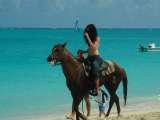 HORSE BACK RIDING, vacations 7 resorts international, providencials