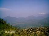  Mosjos Travels 456/16, moses avenue, first main road, kamaraj nagar, thiruvanmiyur, madras, 600041 