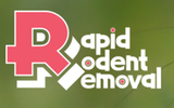  Rapid Rodent Removal 11246 McCree Rd 