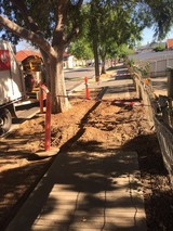Tree Removal Service Adelaide, Adelaide,