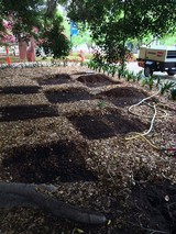 Tree Removal Service Adelaide, Adelaide,