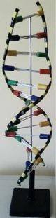  Profile Photos of Rebochem 11 Gemsbok Street - Photo 4 of 52