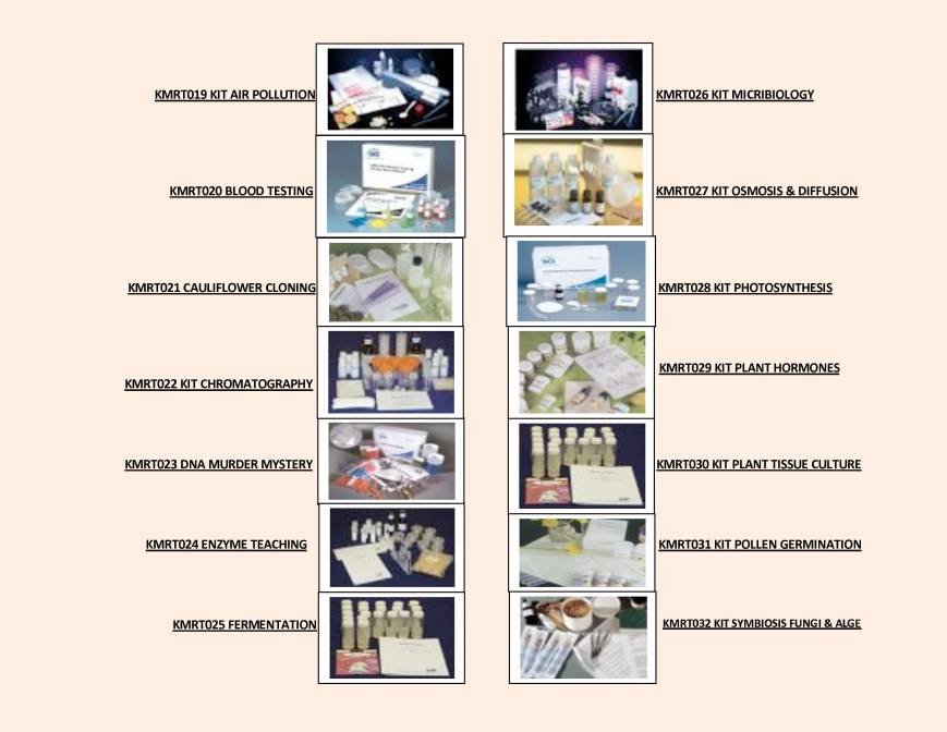  Pricelists of Rebochem 11 Gemsbok Street - Photo 7 of 213