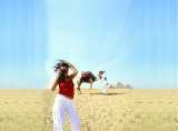 Rajasthan Tour India, New Delhi