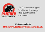 Pest Control Ealing, Ealing