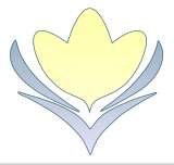 Orchid English: English Classes at Your Company, London