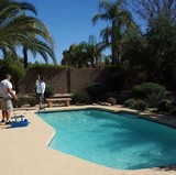 Deep Cleaning, Orange Tree Pool Services, Phoenix