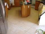 Floor and wall covering installing services. <br />
Title Flooring installations Ceramic, Laminated, Vinyl, Hardwood <br />
Description: 244 flooring installer, tile showers, hardwood laminate flooring installer, ceramic tile installer, kitchen bath remodeling contra Floors We Do 6110 Lemmon Ave 
