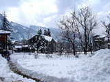  Shimla Manali vacations packages C 74/10 vijay vihar phase 2, Delhi- 110085 