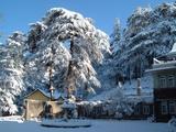 Shimla Manali vacations packages, Delhi