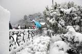 Shimla Manali vacations packages, Delhi