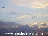  Noah's Travel- Armenian Travel Agency 23 Arabkir Str 