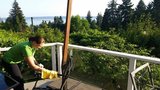 Cleaning With Love, Vancouver