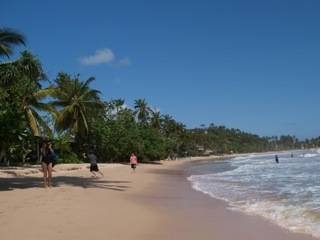  Profile Photos of Sri Lanka Tour Operator colombo srilanka - Photo 3 of 3