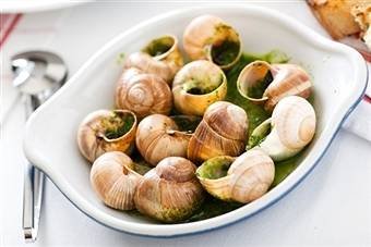 Classic Escargot Bourguignon Profile Photos of La Serviette Blanche 4, Rue La Fontaine, - Photo 5 of 17