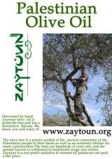  Zaytoun South Africa 104 Granada Street 