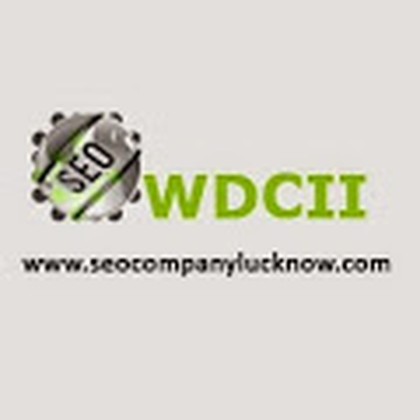  Profile Photos of Website development, WDCII 172 first floor,yadav complex Telibagh - Photo 1 of 1
