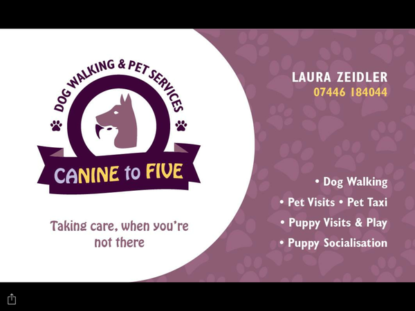  Profile Photos of Canine To Five Dog Walking & Pet Services 159 new millgate - Photo 4 of 8