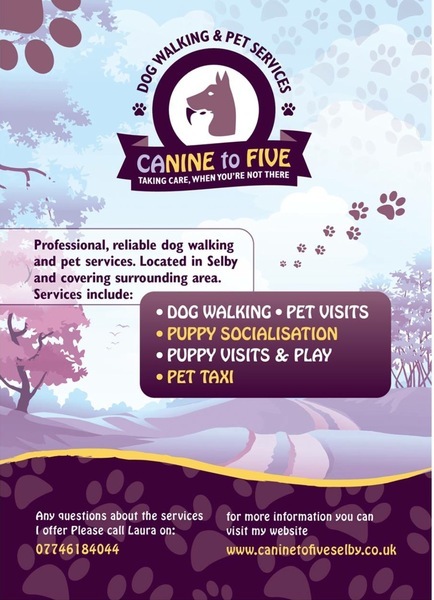  Profile Photos of Canine To Five Dog Walking & Pet Services 159 new millgate - Photo 5 of 8