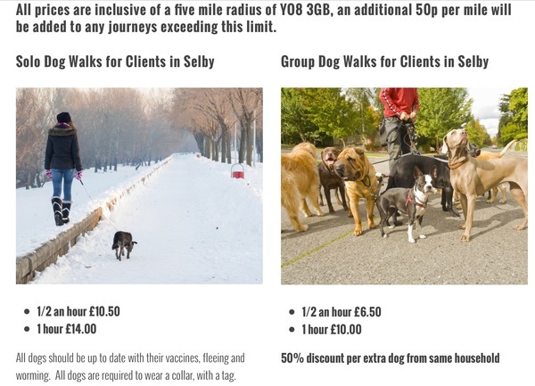  Pricelists of Canine To Five Dog Walking & Pet Services 159 new millgate - Photo 2 of 3