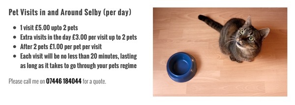  Pricelists of Canine To Five Dog Walking & Pet Services 159 new millgate - Photo 3 of 3