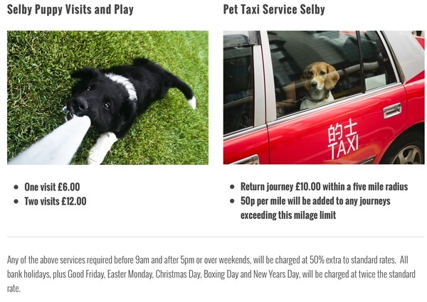  Pricelists of Canine To Five Dog Walking & Pet Services 159 new millgate - Photo 1 of 3