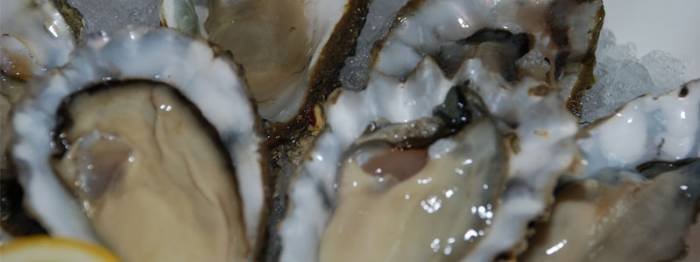  Profile Photos of The Seafood Brasserie 39 Mount Ephraim - Photo 3 of 6